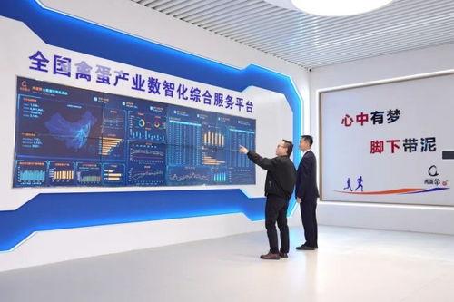 蛋生數智夢，科技孵未來 金融賦能農業科技蝶變